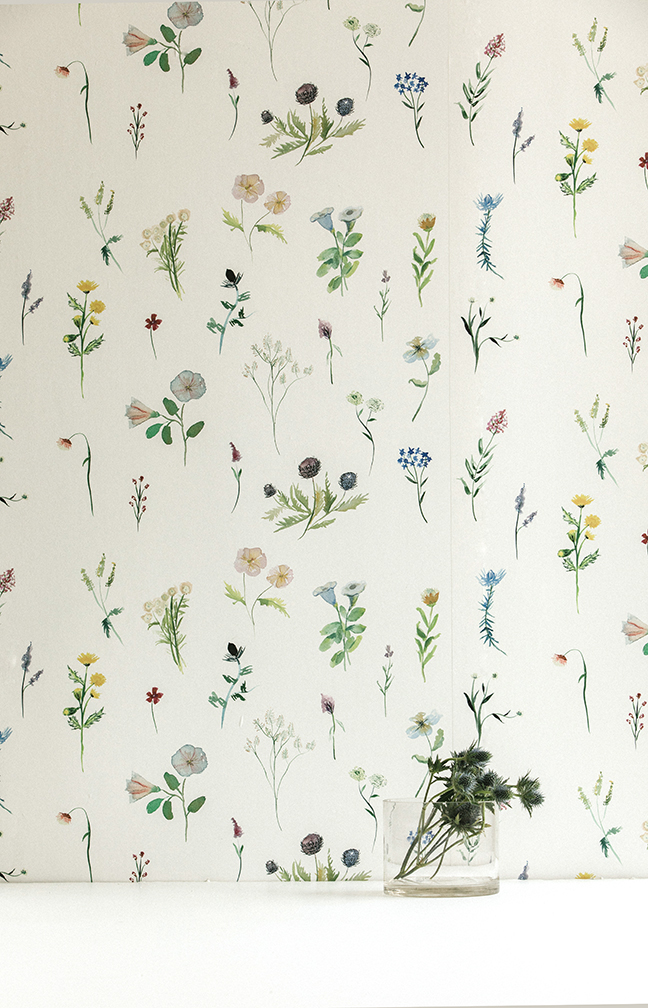 Meadow Heliotrope - HD Wallpaper 