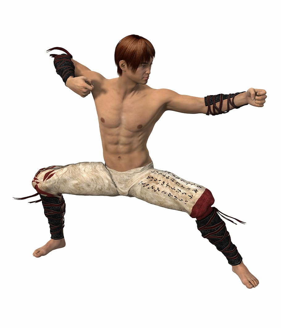 Martial Arts Fighter 3d Model, Buff, Illustration, - Fighter 3d Model - HD Wallpaper 