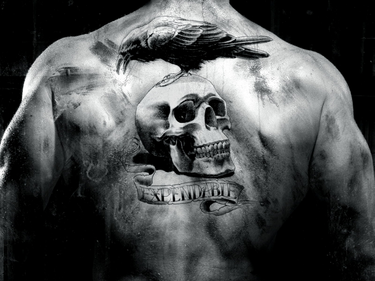 Tattoo And Expendables Image - Expendables Movie Tattoo - HD Wallpaper 