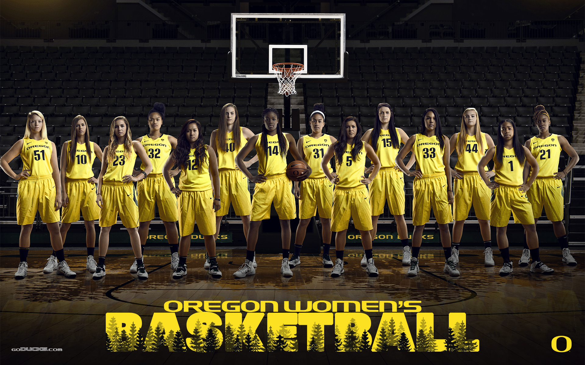 Wallpaper Basketball - HD Wallpaper 