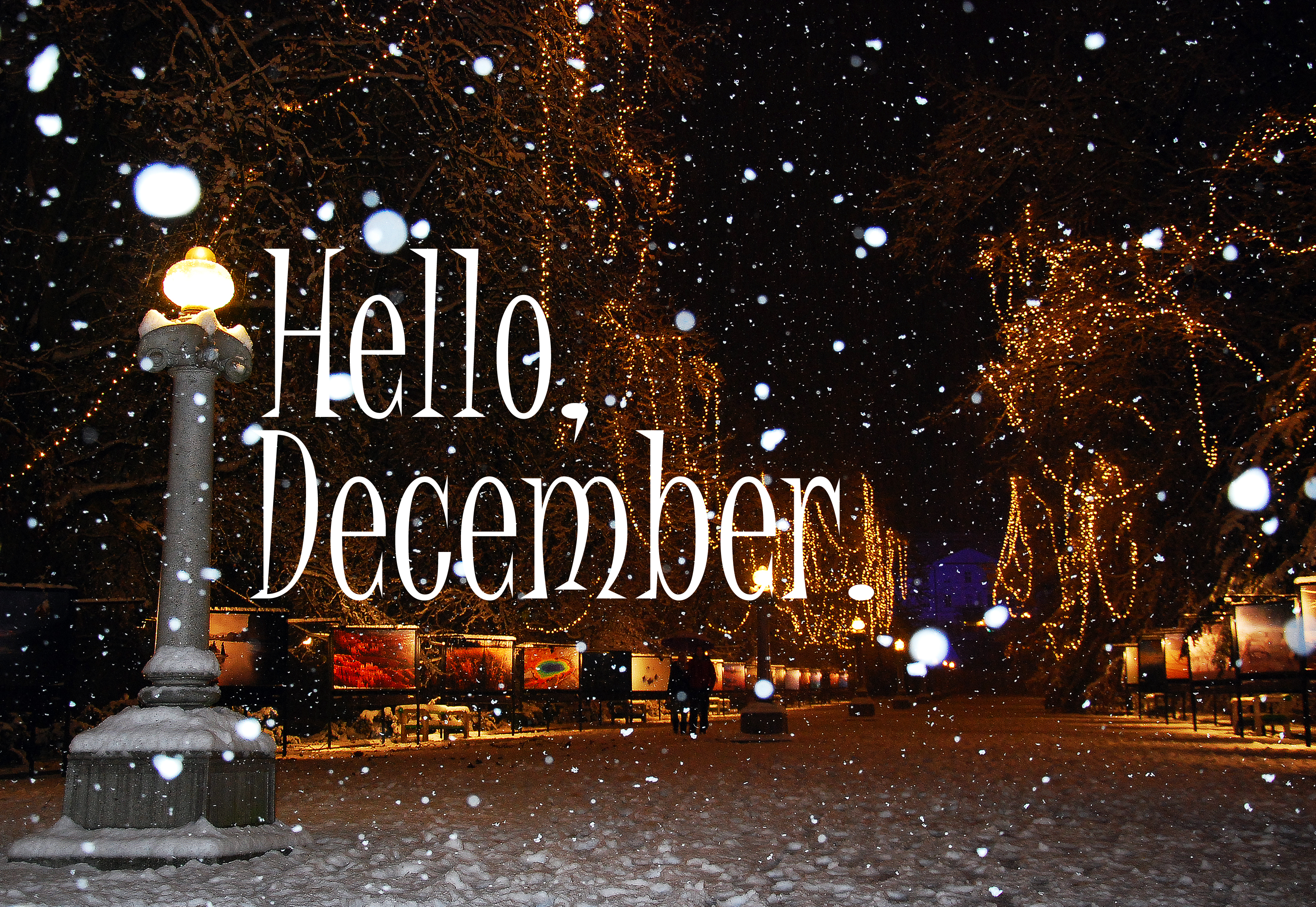 Exp Com Hello December Pictures Hello December Pictures - Hello December Wallpaper Hd - HD Wallpaper 