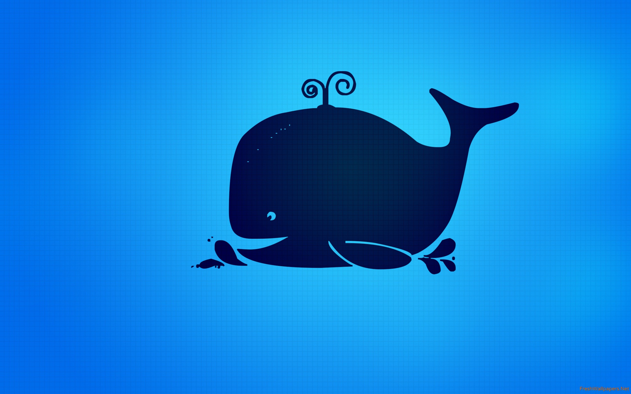 2560 X 1440 Narwhal - HD Wallpaper 