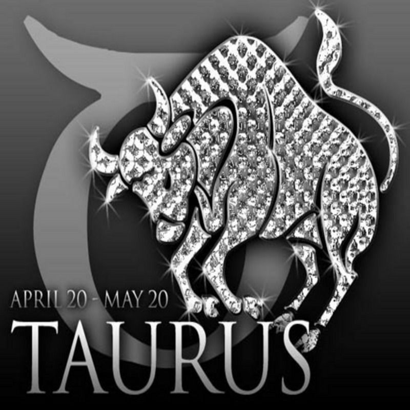 Taurus Bull - HD Wallpaper 