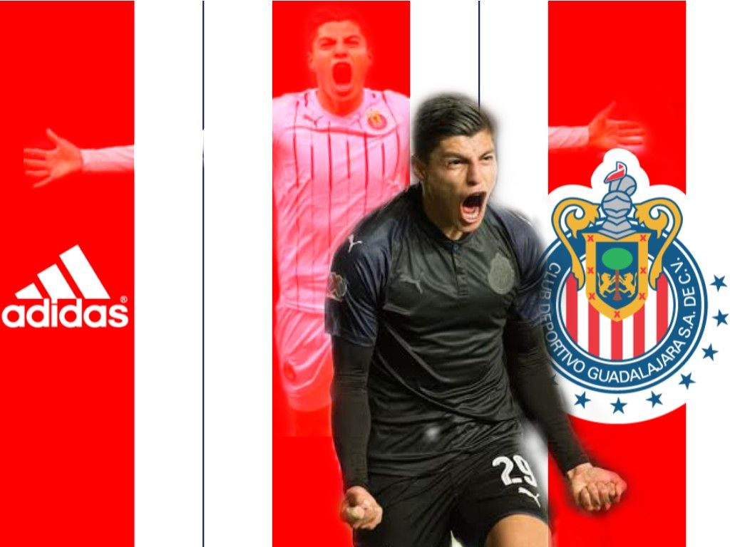 Chivas De Corazon - C.d. Guadalajara - HD Wallpaper 