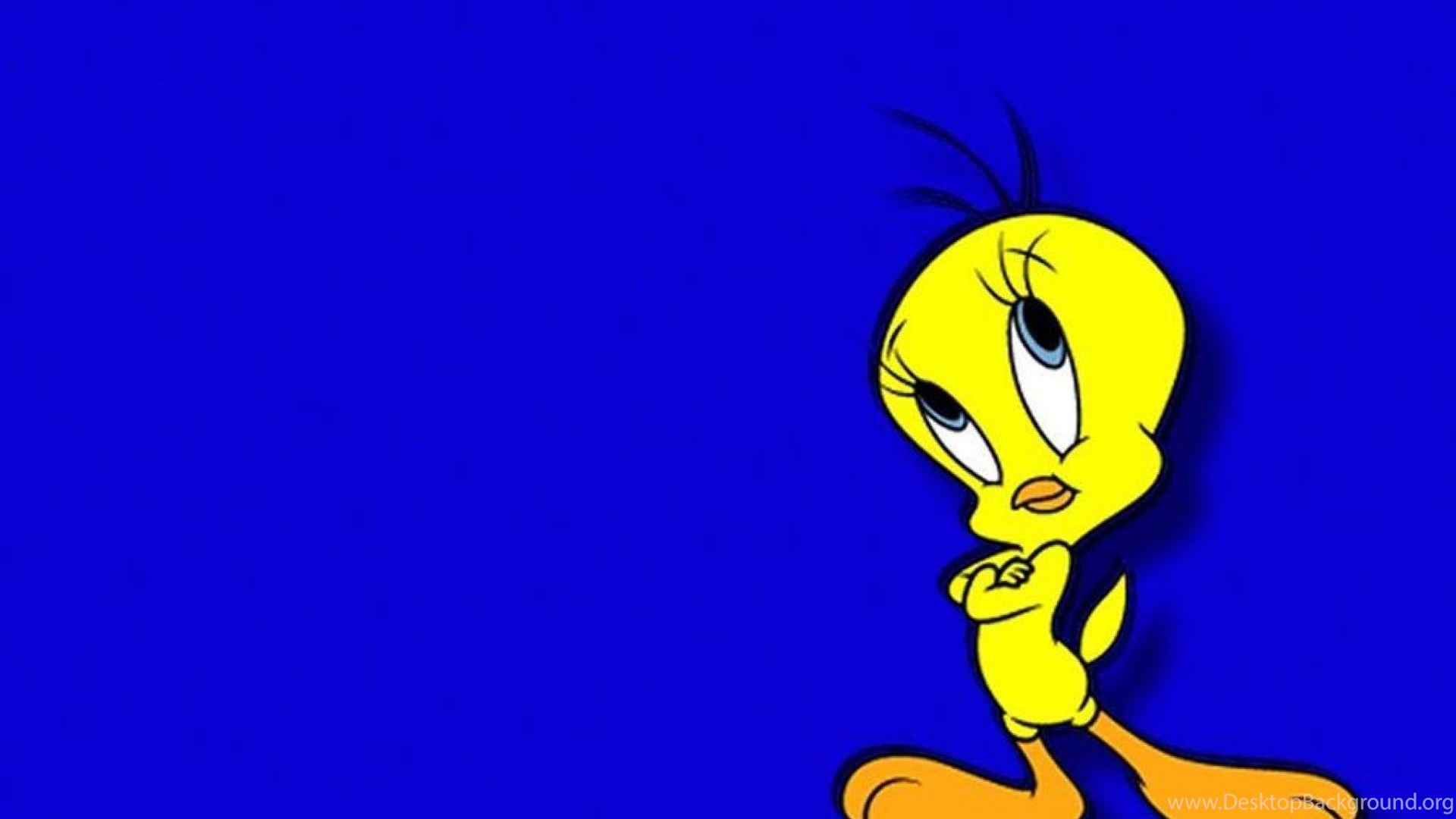 Bugs Bunny Wallpaper Hd Wallpaper - Tweety Bird - HD Wallpaper 