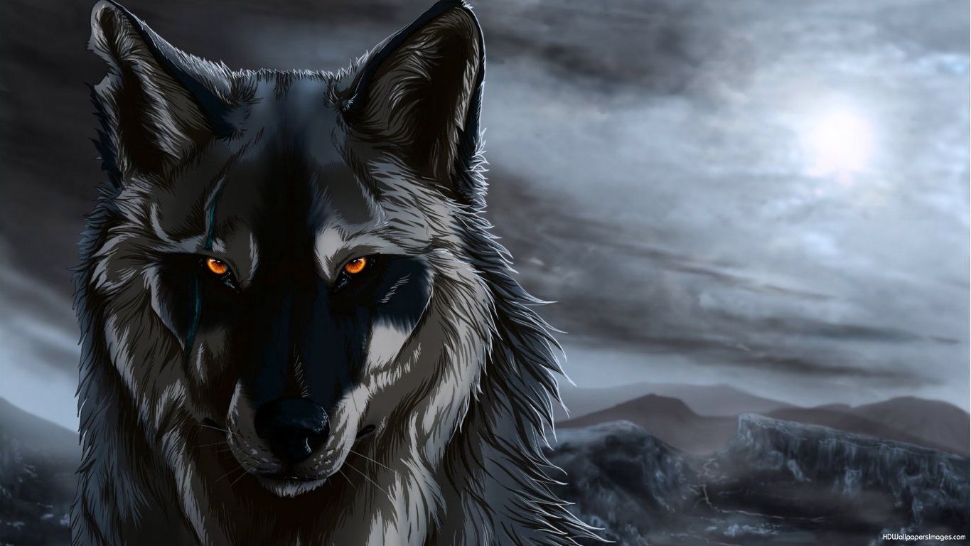 Wolf Anime Wallpaper Hd - HD Wallpaper 