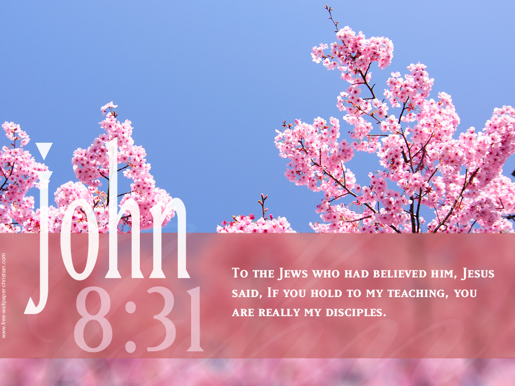 Inspirational Bible Quotes - HD Wallpaper 