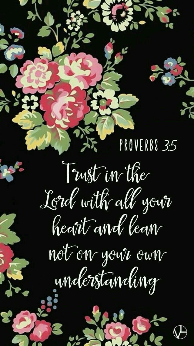 Proverbs 3 5 - HD Wallpaper 