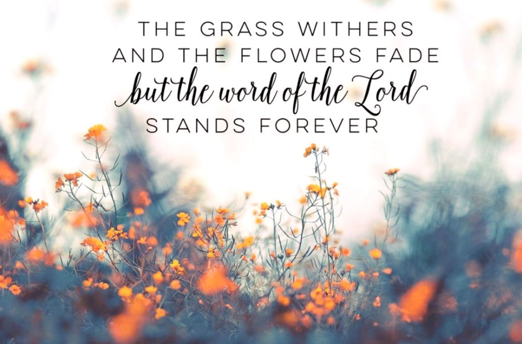 Brilliant Decoration Bible Verse Wallpaper For Desktop - Bible Verse Computer Backgrounds - HD Wallpaper 