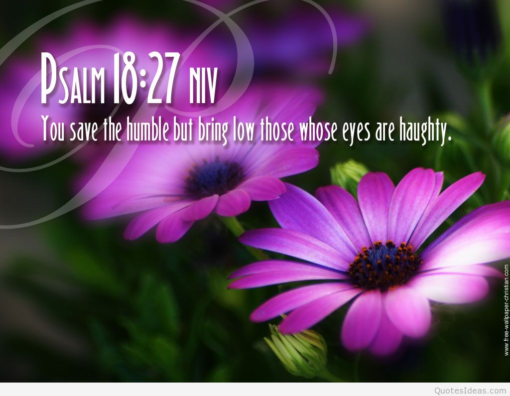 Bible Verses Backgrounds - HD Wallpaper 