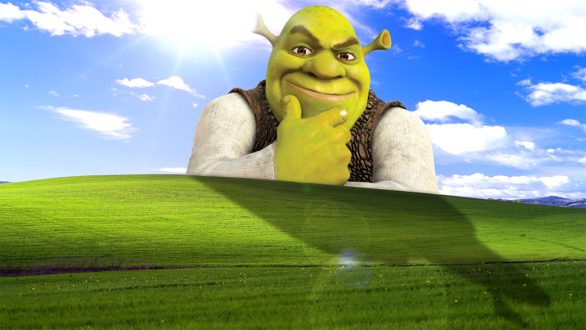 Shrek Meme - HD Wallpaper 