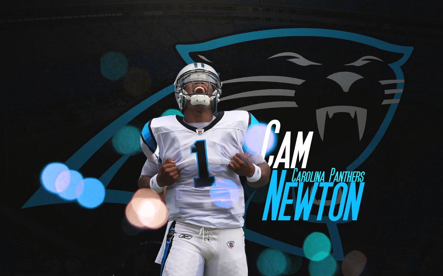 Logo Carolina Panthers Wallpaper Full Hd, Best Wallpaper - Carolina Panthers - HD Wallpaper 
