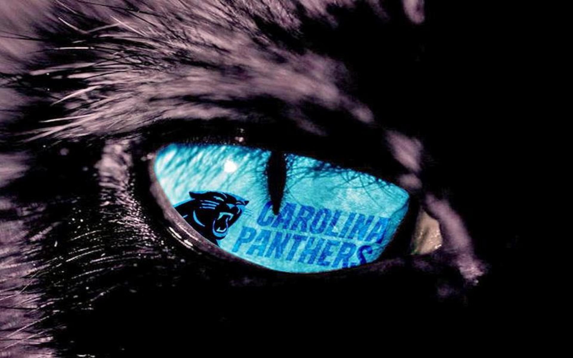 Carolina Panthers Eye - HD Wallpaper 
