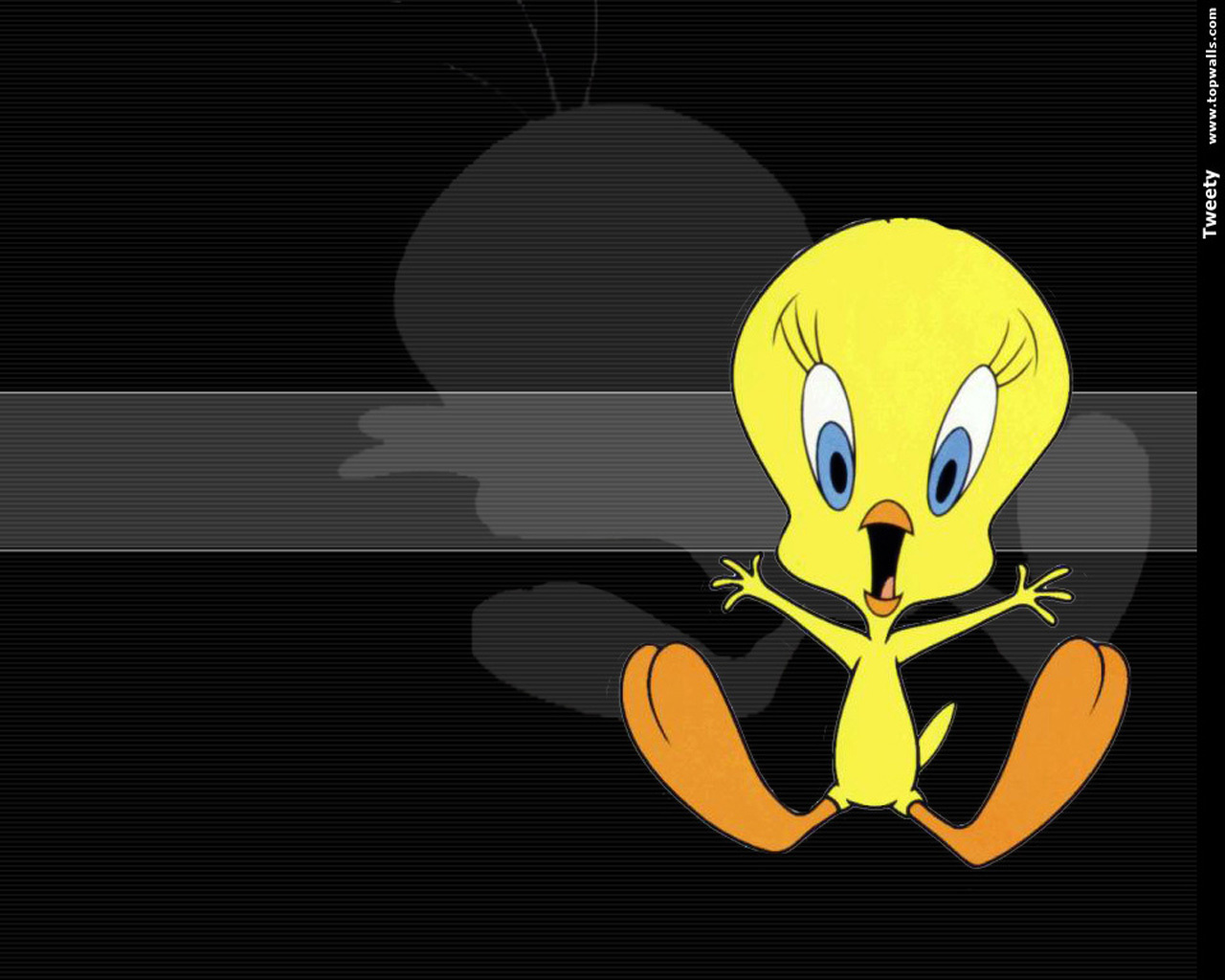 Tweety Wallpaper - Tweety Bird Wallpaper Hd - HD Wallpaper 