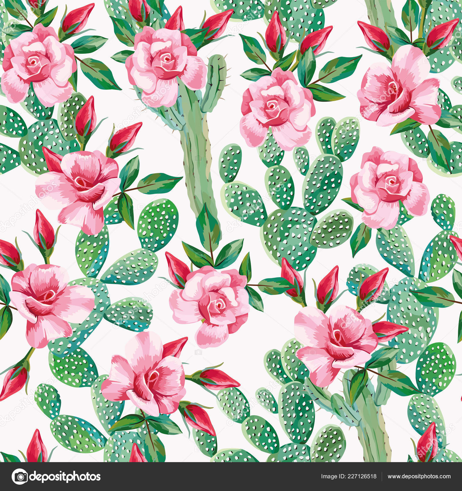 Cactus And Floral Background - HD Wallpaper 