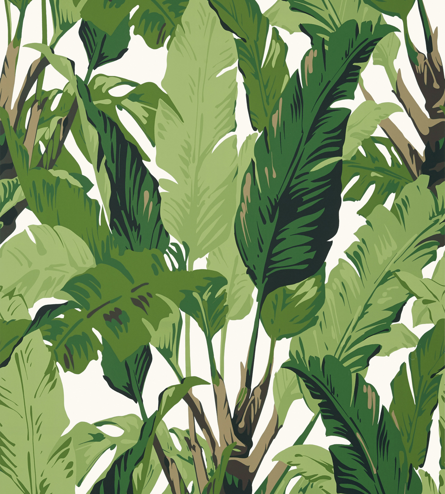 Tropical Leaf Wallpaper Iphone - HD Wallpaper 