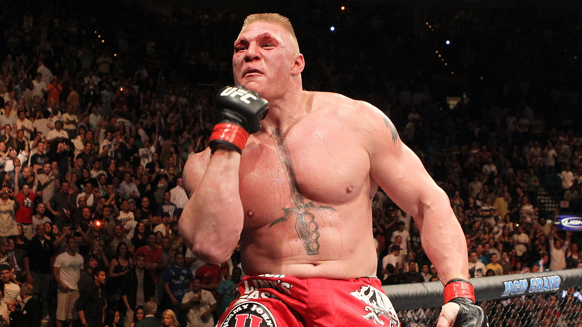 Brock Lesnar Mma - HD Wallpaper 