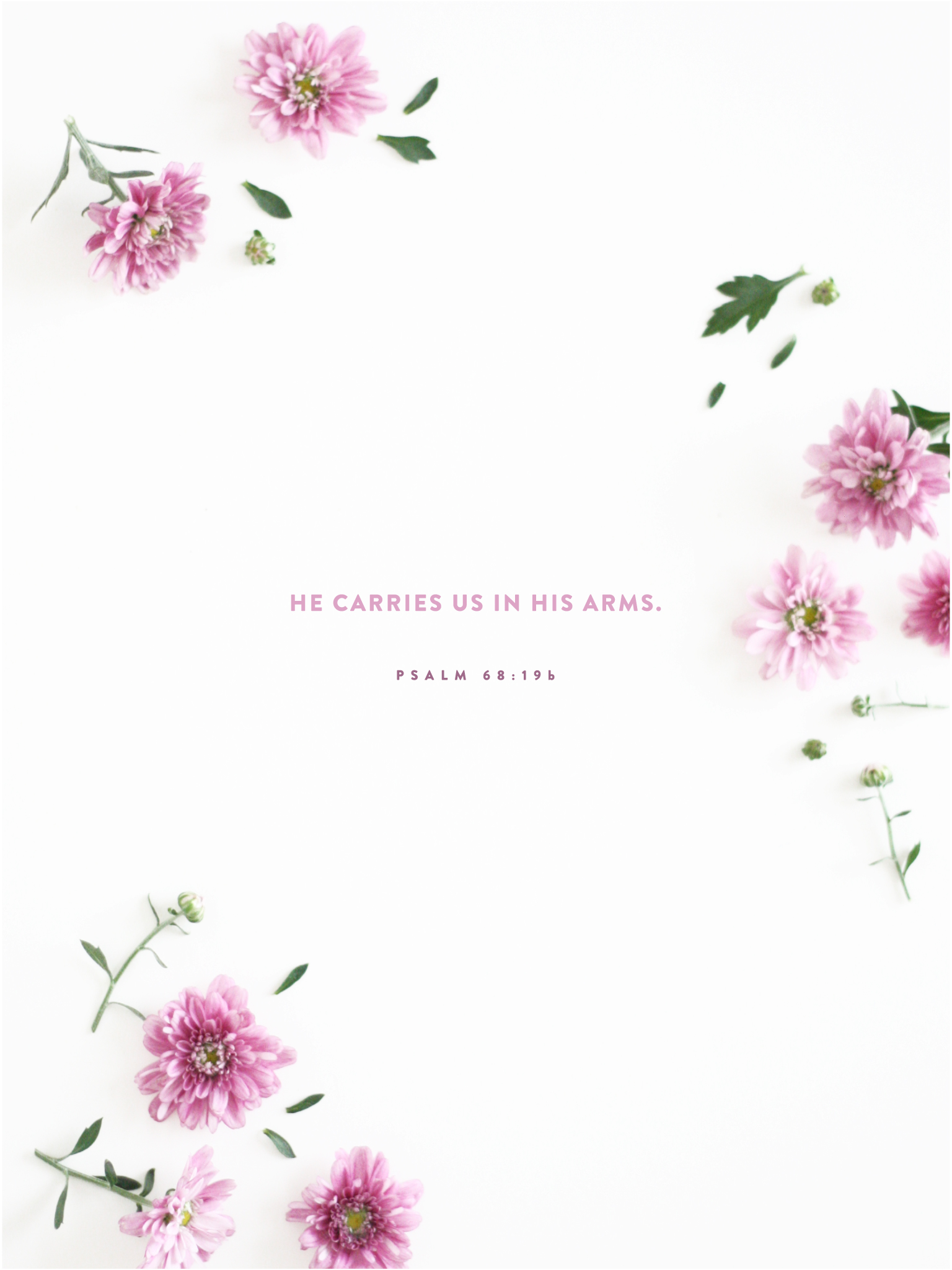 Iphone Floral Bible Verse - HD Wallpaper 