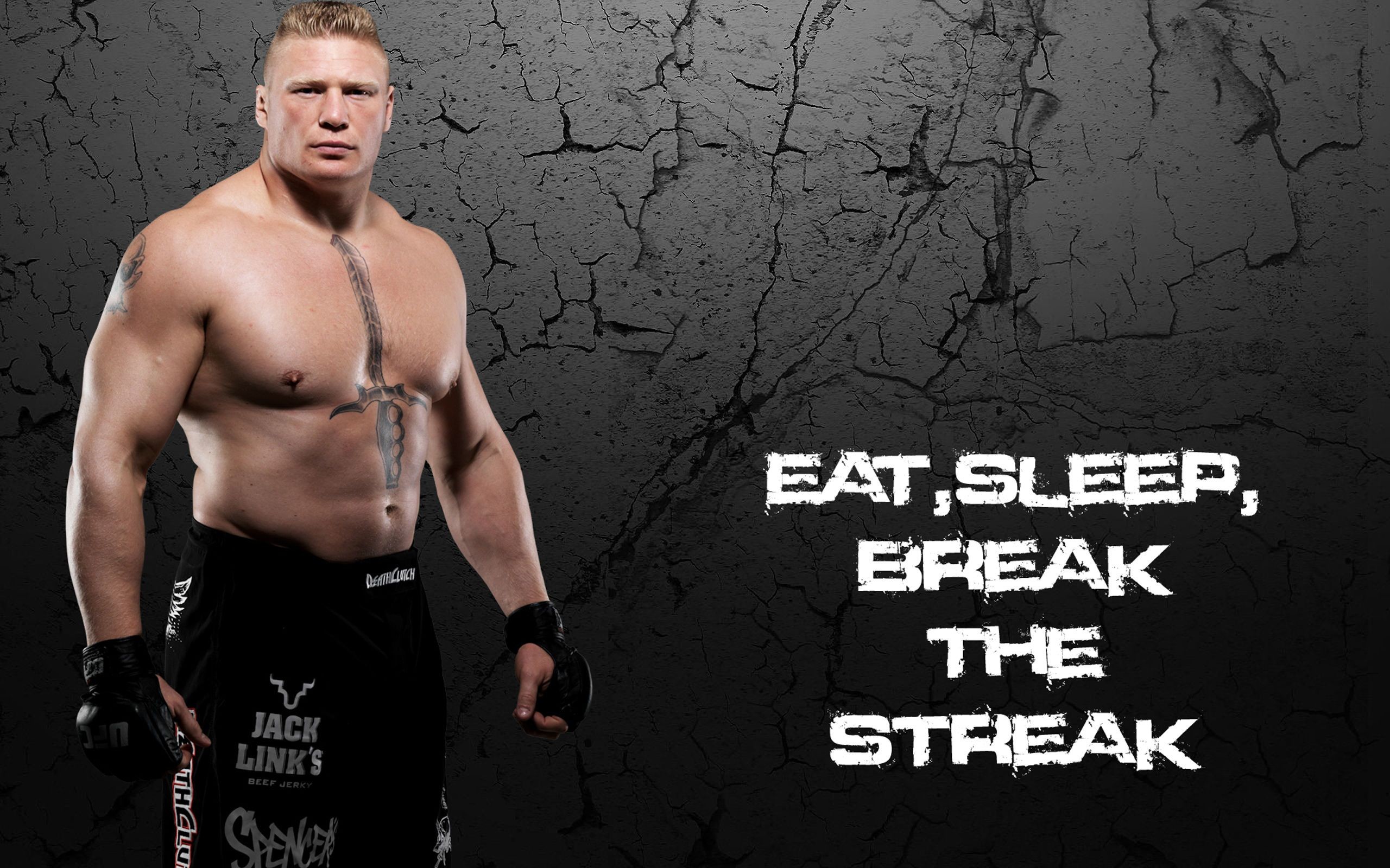 Brock Lesnar Desktop Wallpaper 5 
 Data Src Vertical - Wwe Brock Lesnar Hd - HD Wallpaper 