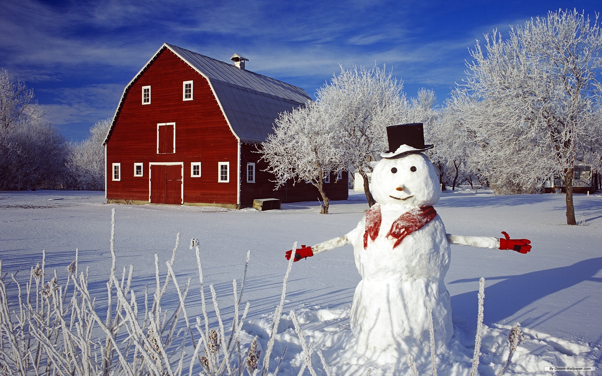 Free Photography Wallpaper - Wallpaper - HD Wallpaper 