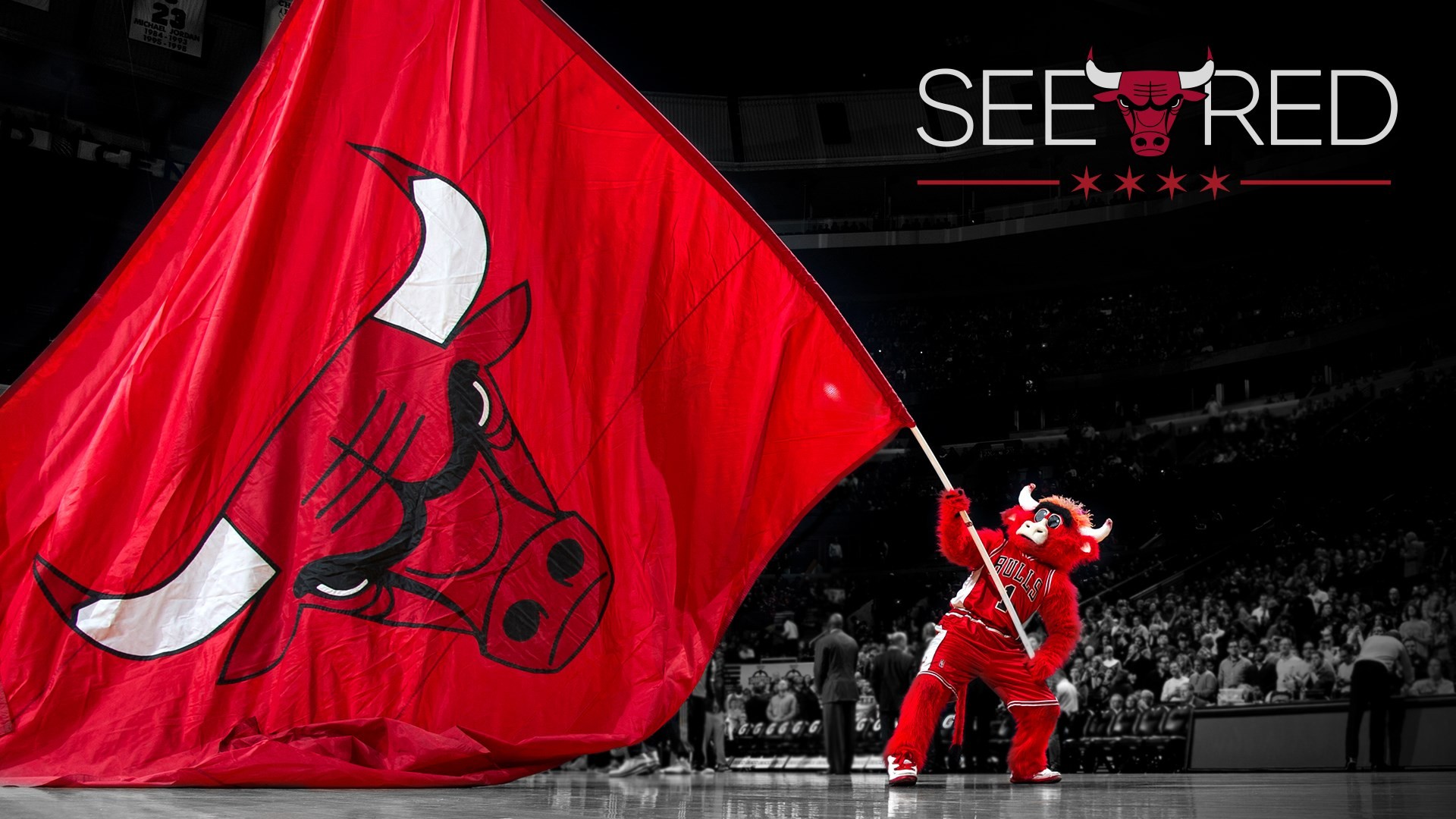 Wallpapers Chicago Bulls With High-resolution Pixel - Chicago Bulls - HD Wallpaper 