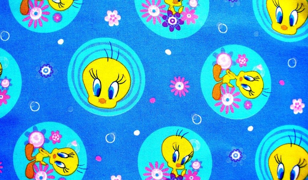 Tweety Bird - HD Wallpaper 