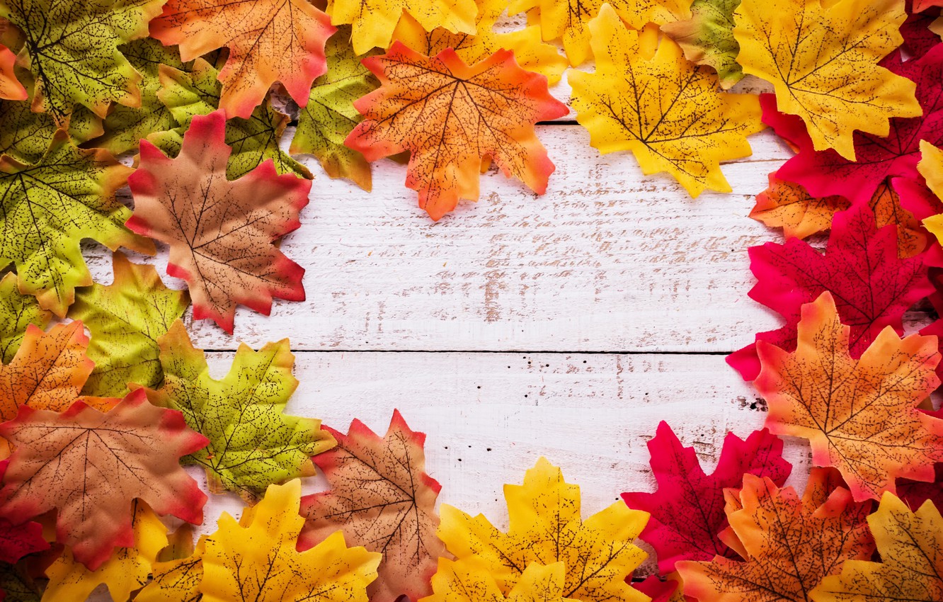 Photo Wallpaper Autumn, Leaves, Background, Tree, Wood, - Background Leaves Wallpaper Autumn - HD Wallpaper 