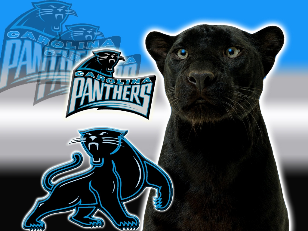Carolina Panthers Logo 1 7ne6igzun0 - Logo Cool Panther Designs - HD Wallpaper 