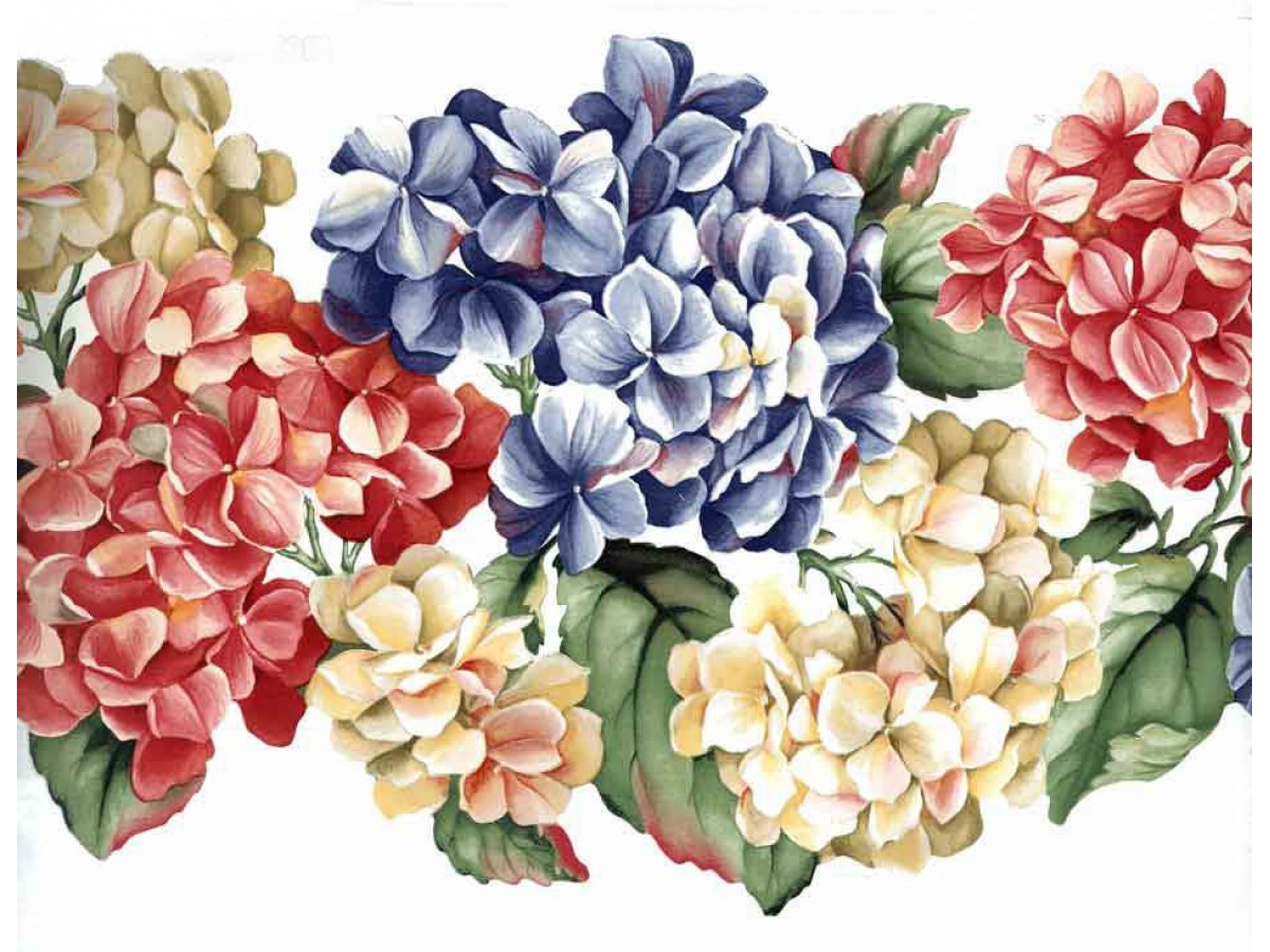 Flower Wallpaper Border - HD Wallpaper 