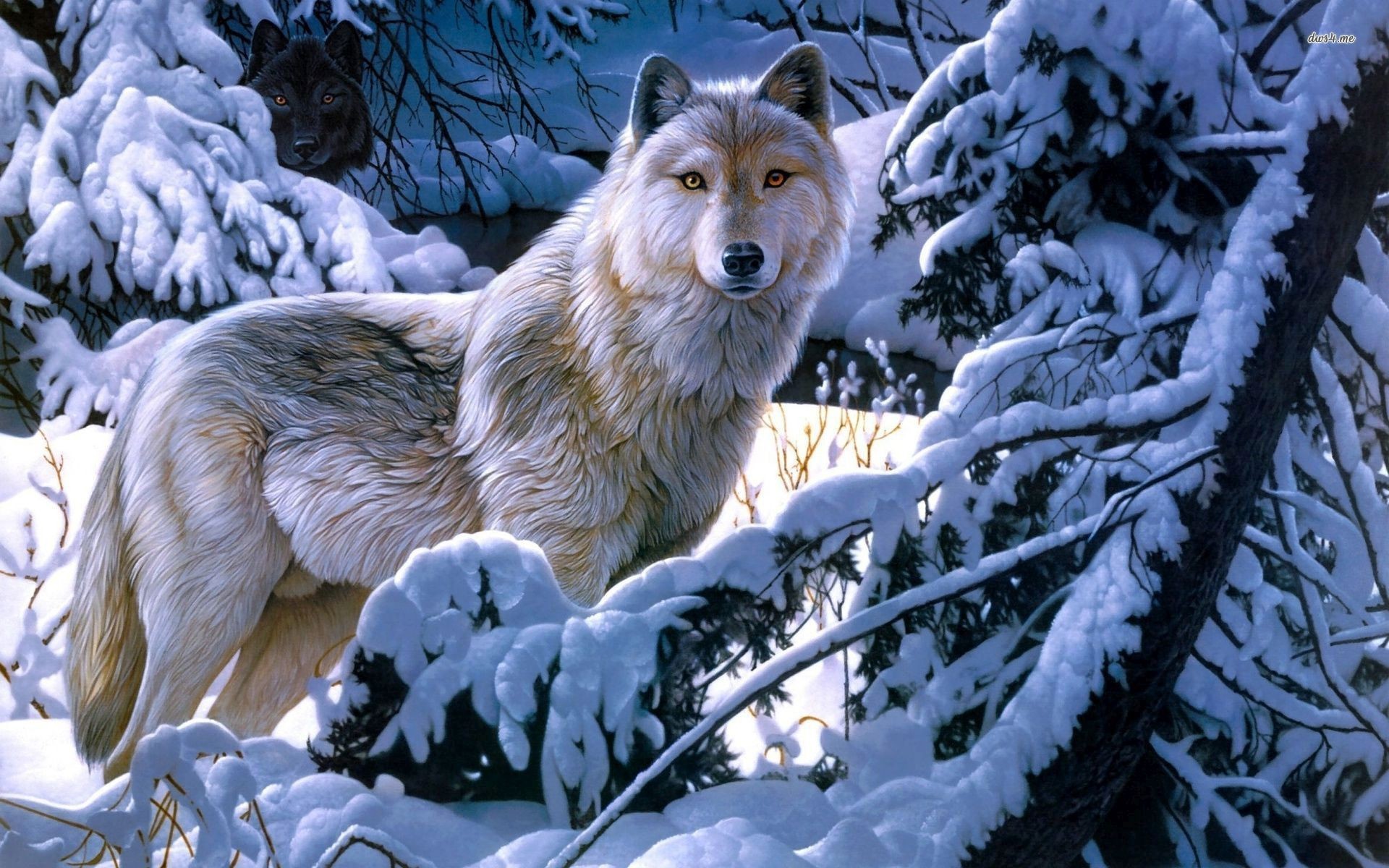 1920x1200, Black And White Wolves Wallpaper 
 Data - Hd Wallpapers Wolves Winter - HD Wallpaper 