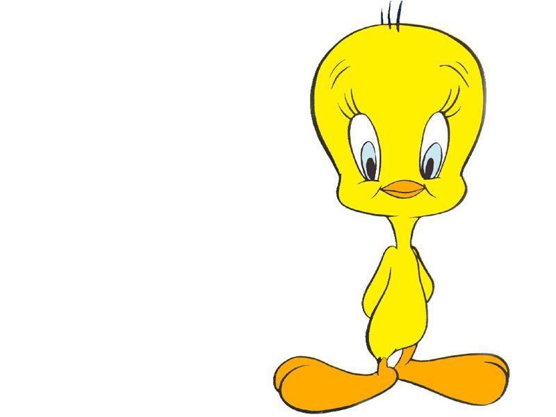 Tweety - HD Wallpaper 
