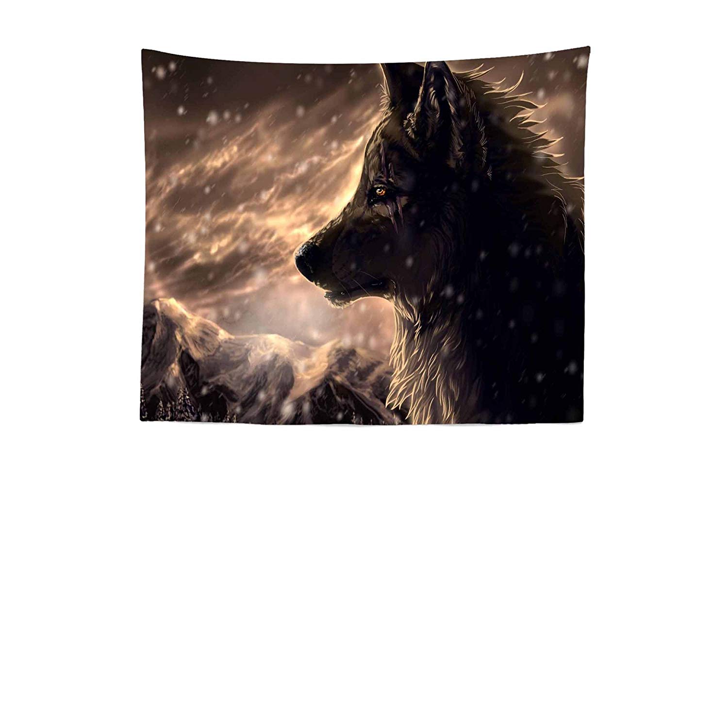 Wolf - HD Wallpaper 