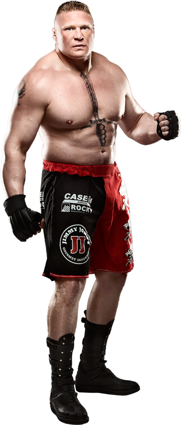 Wwe Images Brock Lesnar Hd Wallpaper And Background - Brock Lesnar All Body - HD Wallpaper 