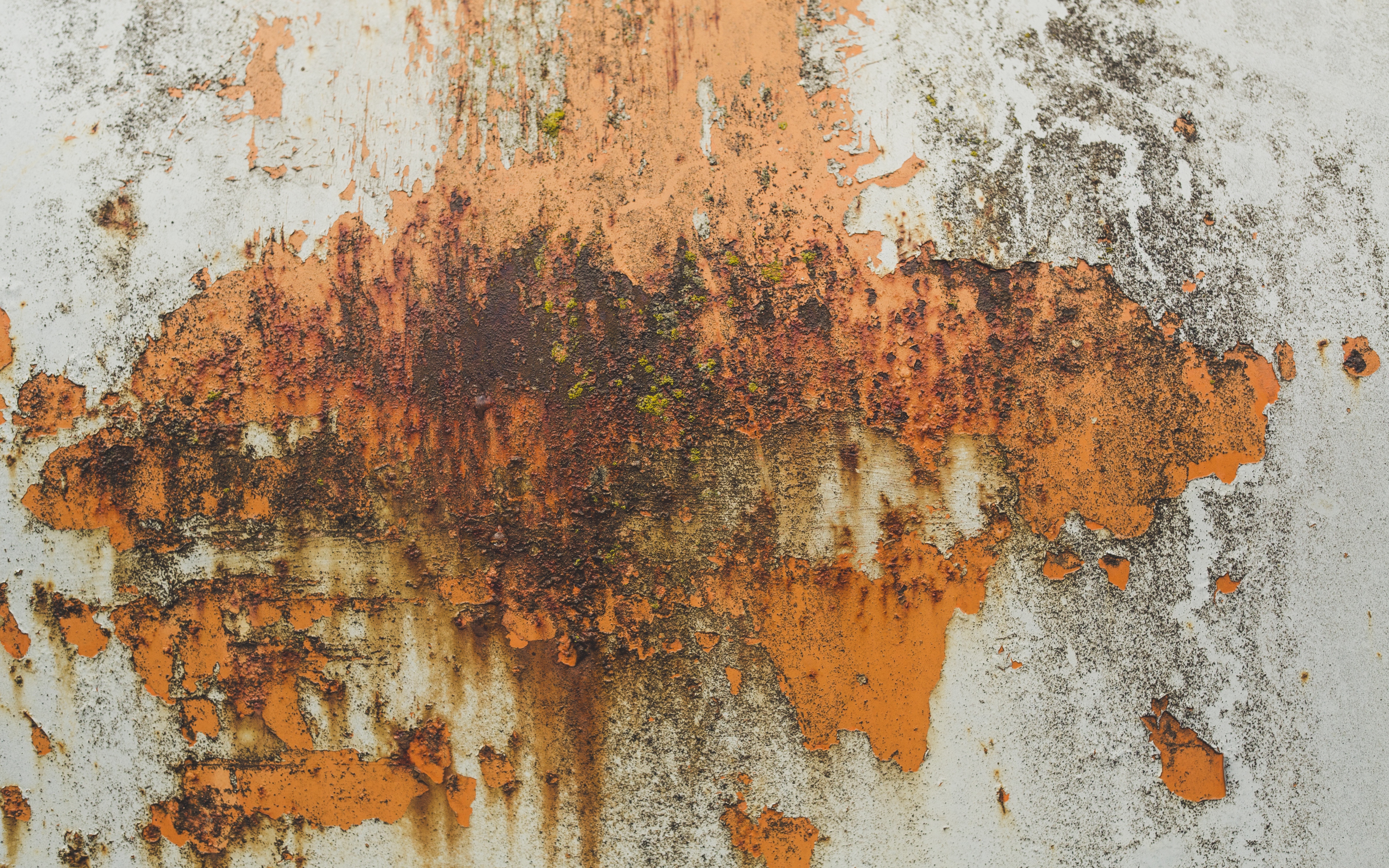 Wallpaper Metal Shabby Rust Paint Texture Surface Rust Wallpaper Iphone 3840x2400 Wallpaper Teahub Io
