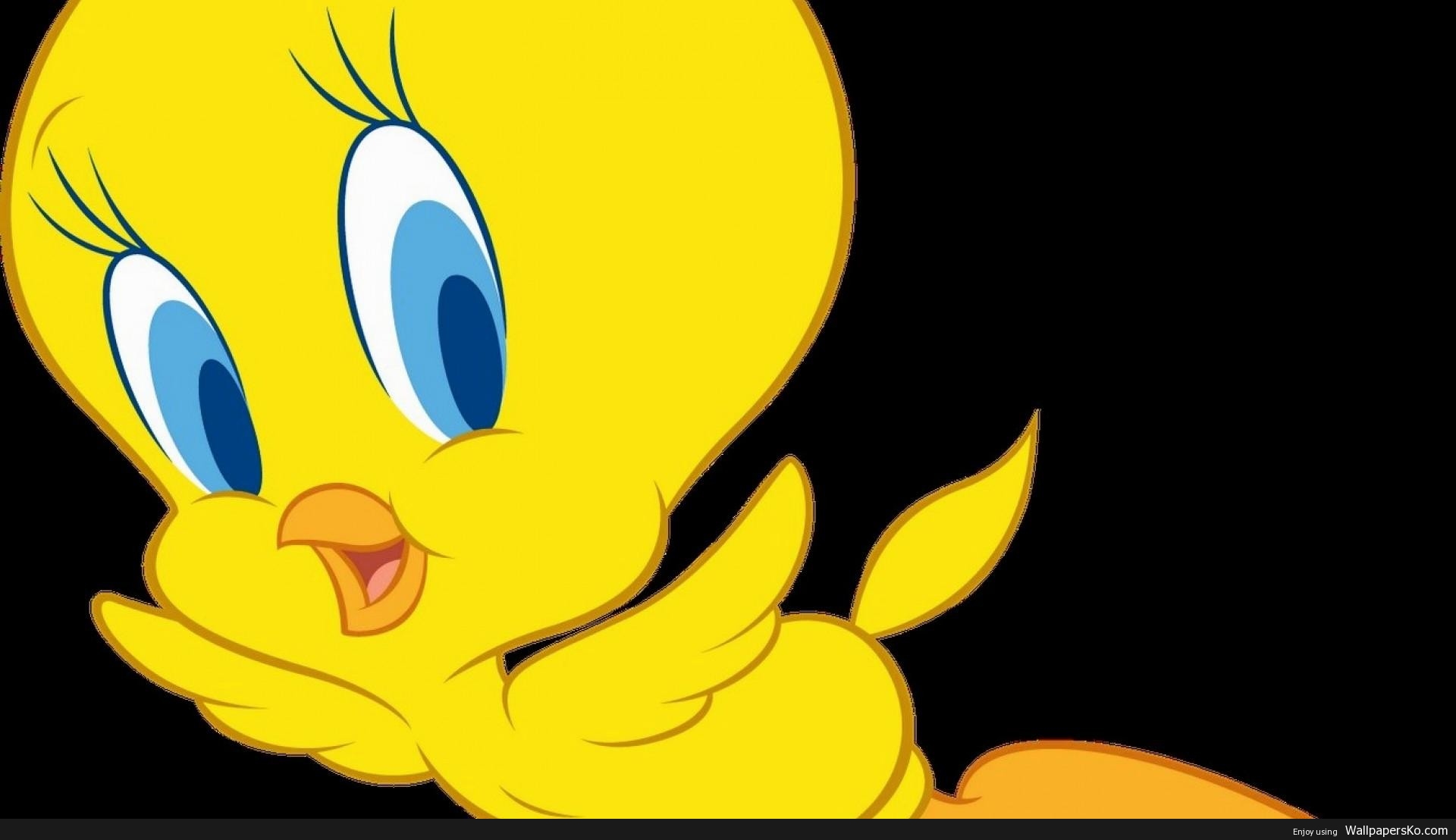 Cute Tweety Bird Wallpaper - Tweety Wallpaper For Desktop - HD Wallpaper 