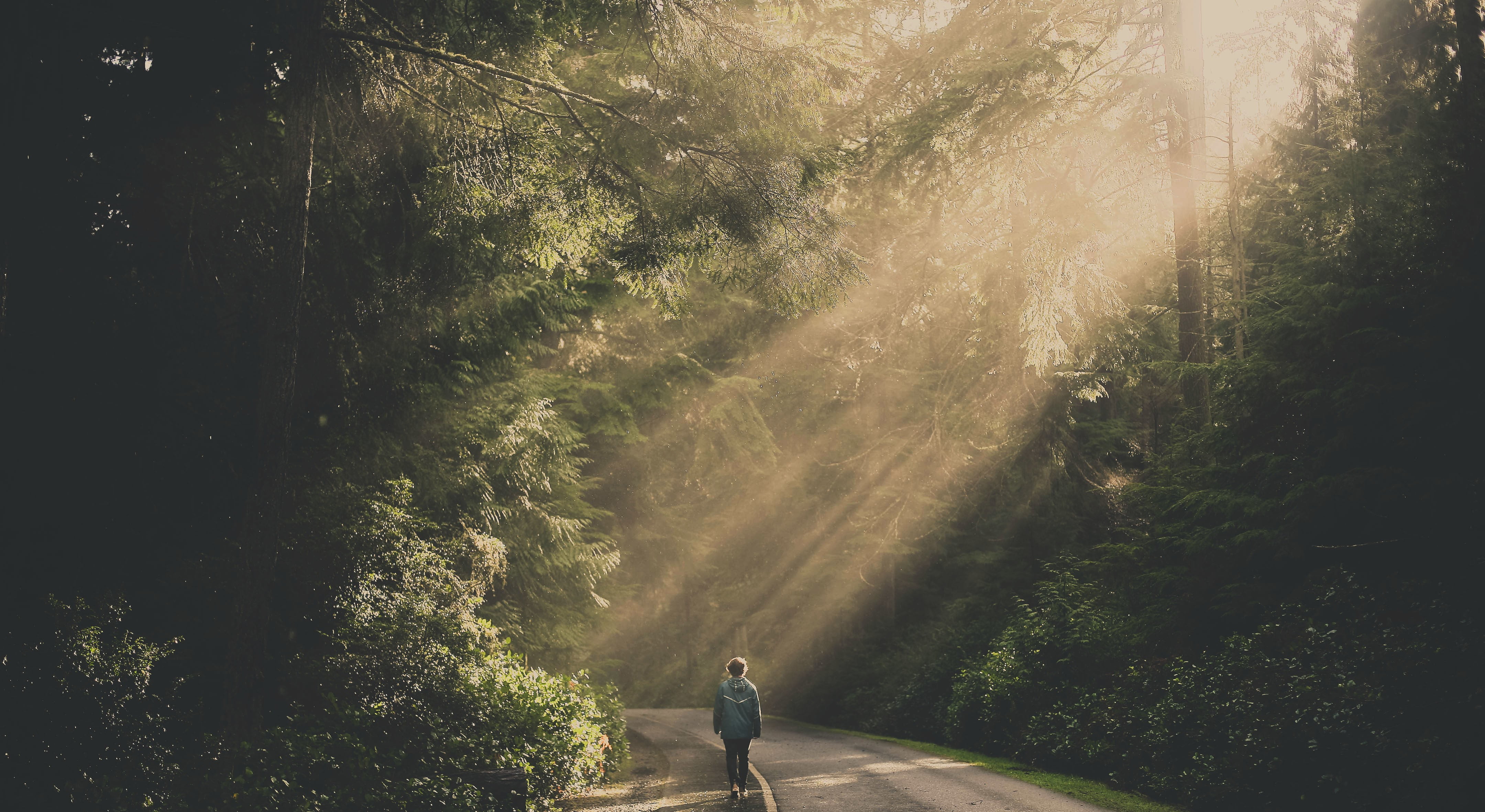 Background Faded - HD Wallpaper 