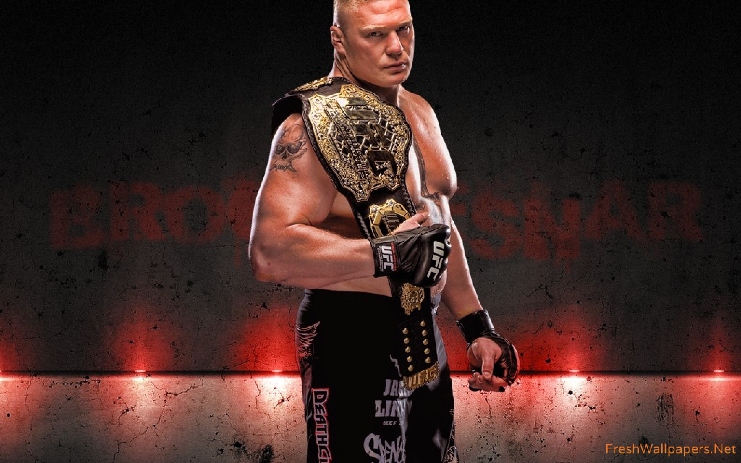 Ufc 116: Lesnar Vs. Carwin (2010) - 2560x1600 Wallpaper Ufc 116: Lesnar Vs. Carwin (2010) - 2560x1600 Wallpaper