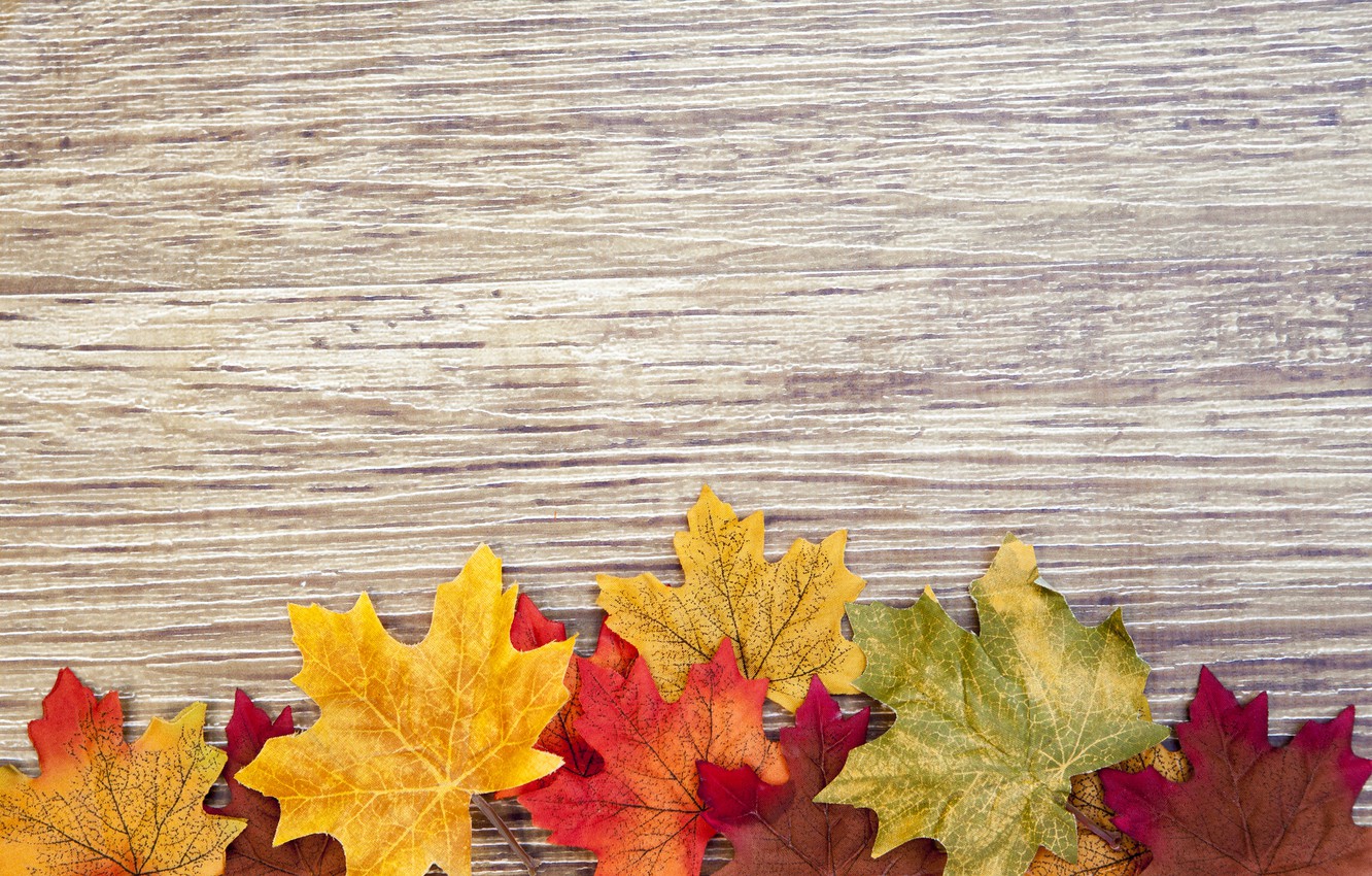 Photo Wallpaper Tree, Colorful, Wood, Texture, Autumn, - Thanksgiving Photos Wooden Background - HD Wallpaper 