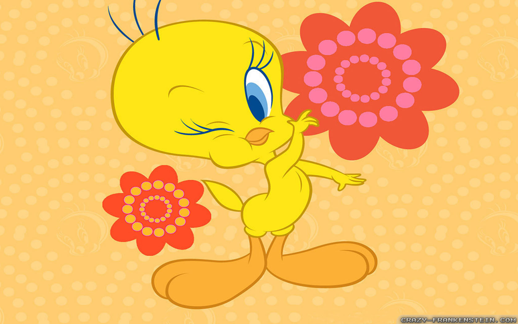 Tweety Bird Wallpaper - HD Wallpaper 