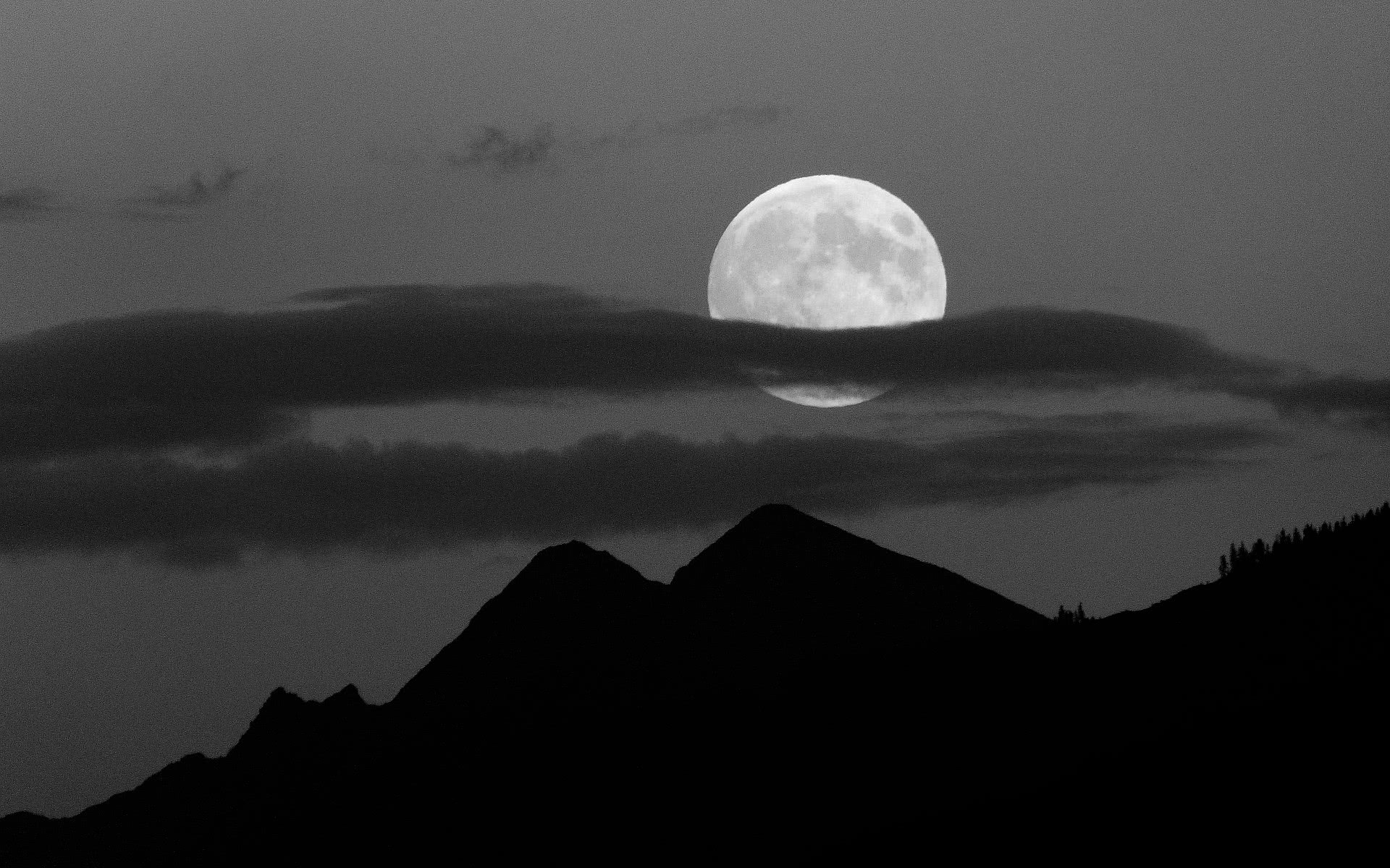 Full Moon Wallpaper - Moon Wallpaper Field Black And White - HD Wallpaper 