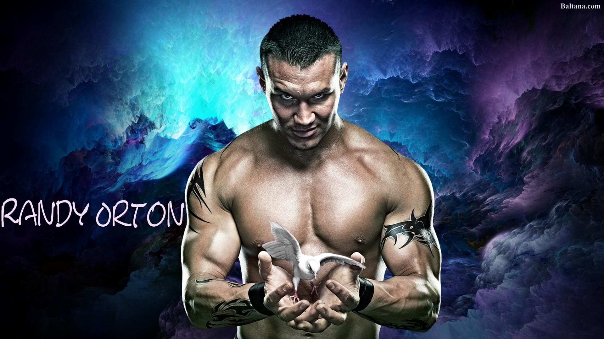 Randy Orton 2018 Wallpaper - Randy Orton No Mercy - HD Wallpaper 