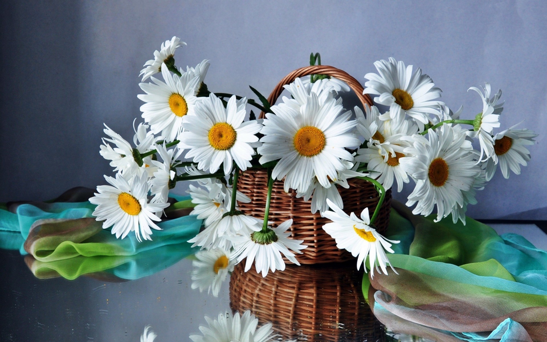 Mobile Wallpaper Life, Basket,daisies, Beautiful, Flower - Love Flower Love Wallpaper Beautiful - HD Wallpaper 