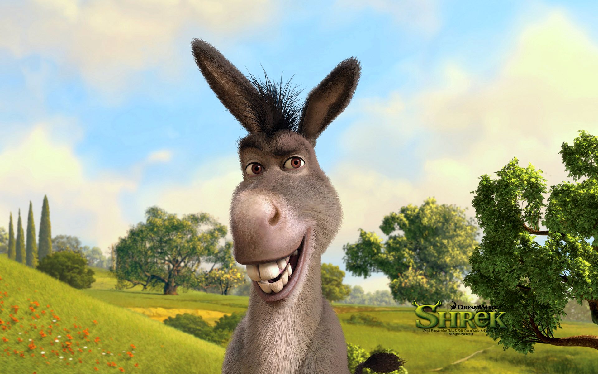 Donkey Shrek - HD Wallpaper 