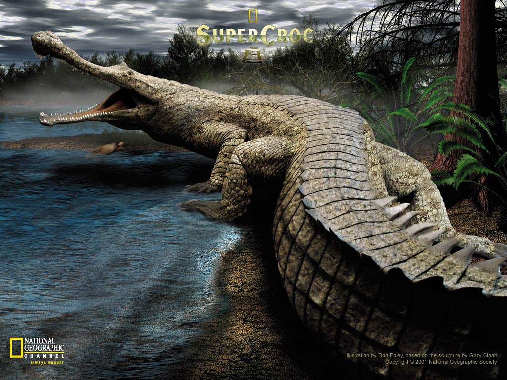 Free Crocodile Wallpaper Wallpapers And Background - Background Crocodile - HD Wallpaper 
