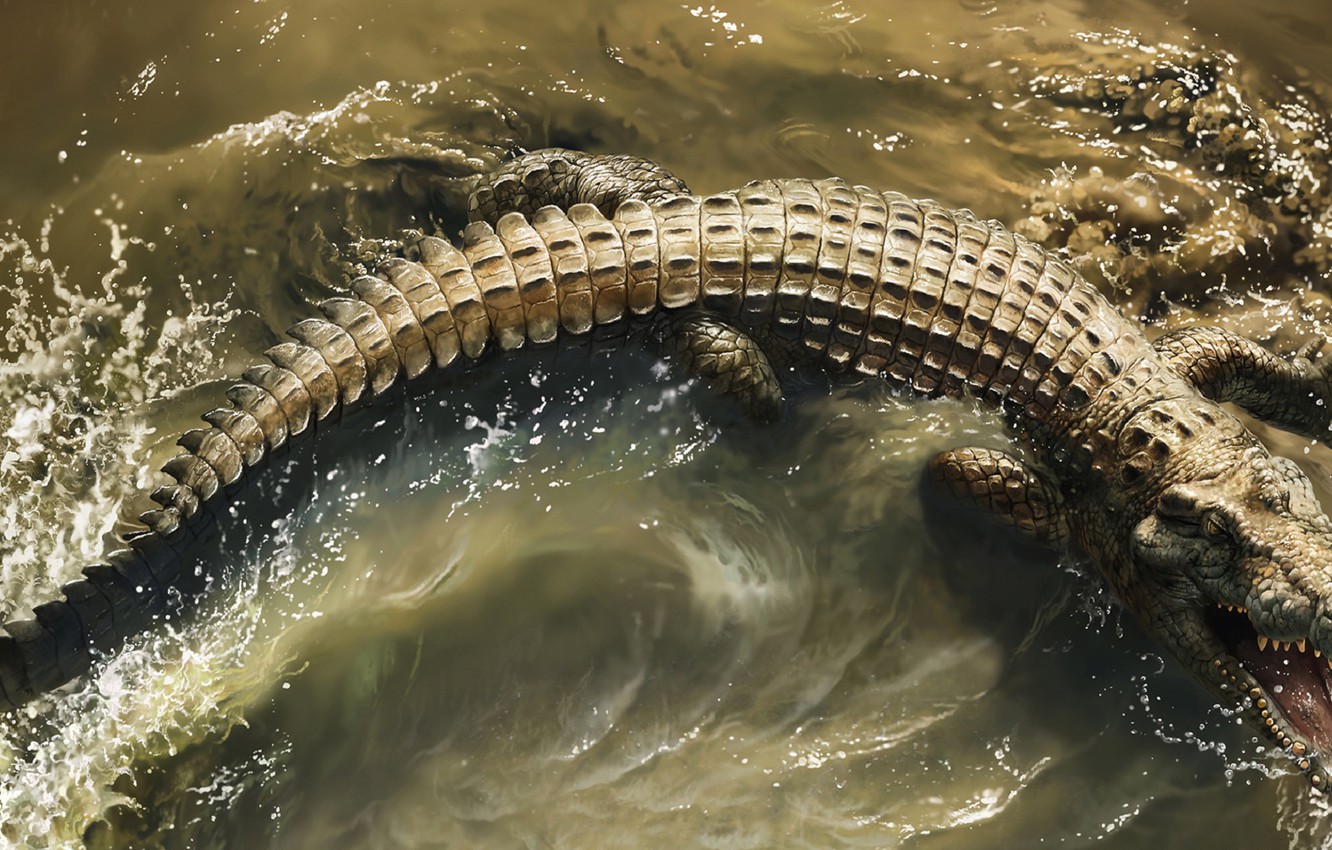 Photo Wallpaper Water, Teeth, Mouth, Crocodile, Crocodile, - Endless Circle Of Life Death - HD Wallpaper 