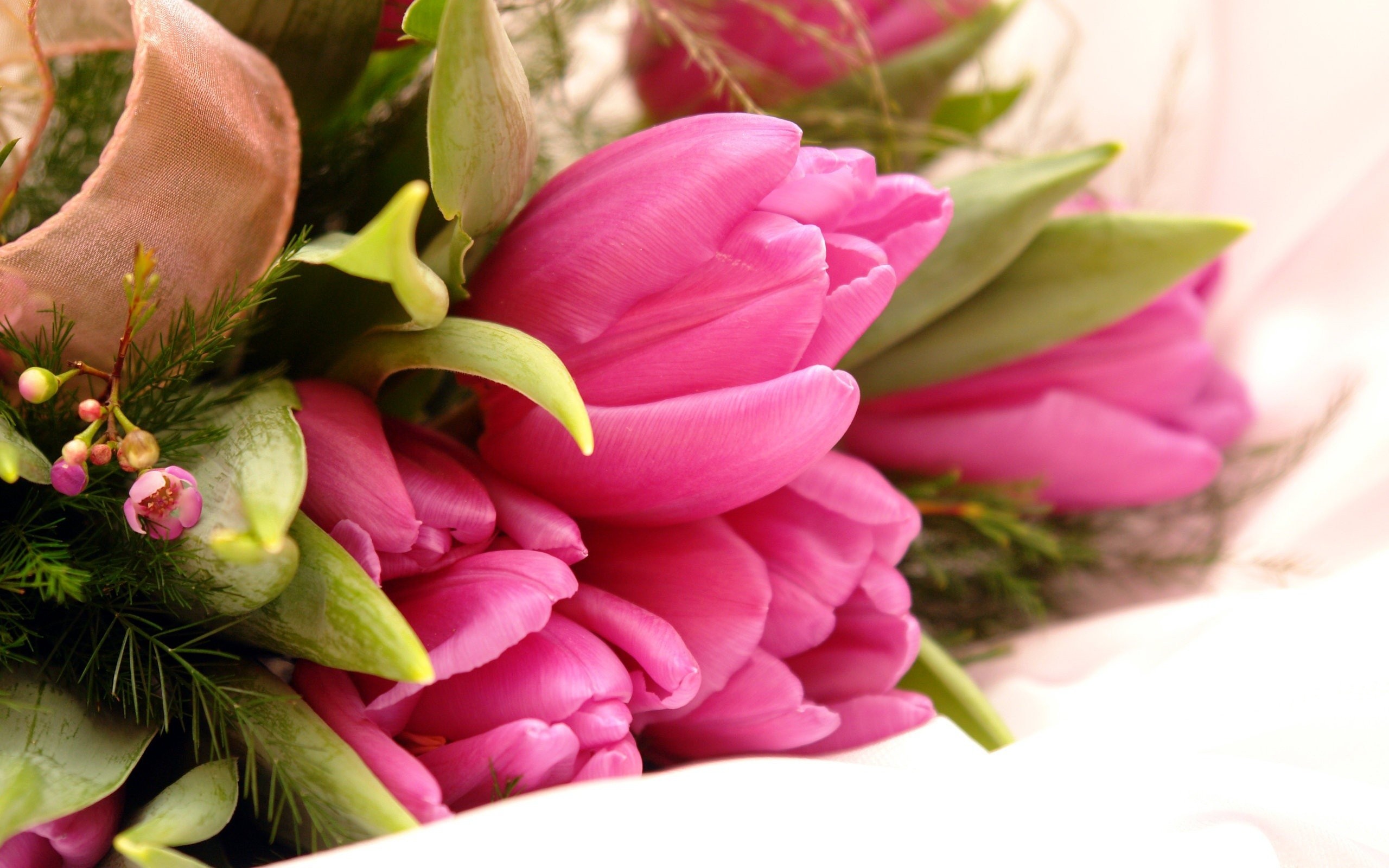 Goog Smells, Colourful, Pink, Bouquet,beautiful Flower - Love Beautiful Flowers Images Hd - HD Wallpaper 