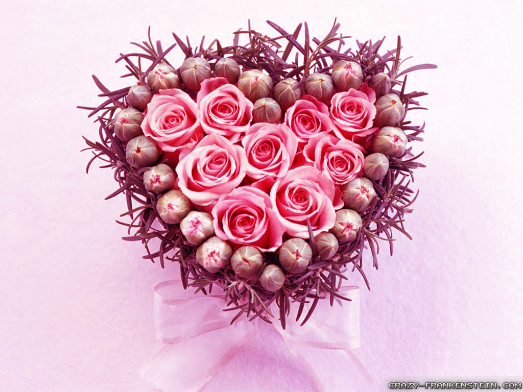 Garden Roses - HD Wallpaper 