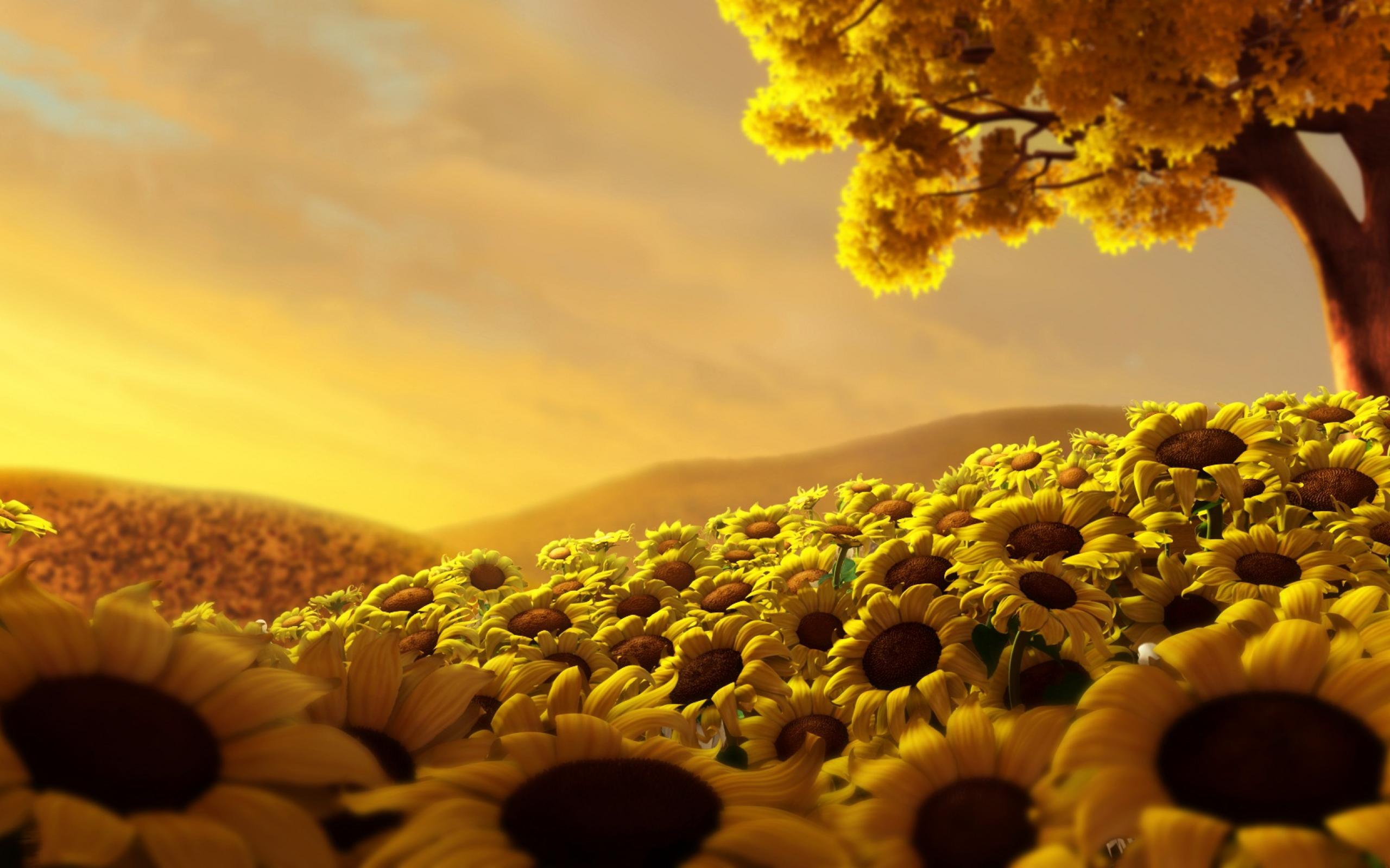 2560x1600px Ξ Beautiful Yellow Flowers Wallpapers - HD Wallpaper 