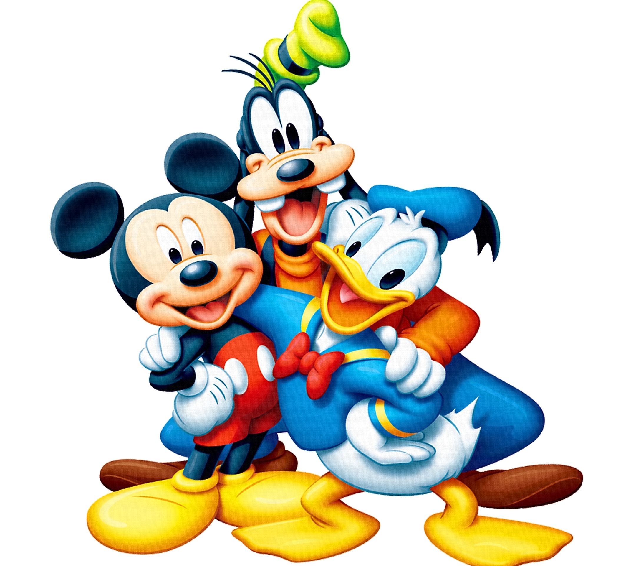 Donald Duck Wallpapers Hd - 2160x1920 Wallpaper Donald Duck Wallpapers Hd - 2160x1920 Wallpaper