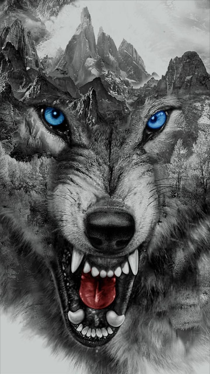 Wolf Growling Tattoo - HD Wallpaper 